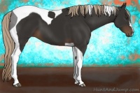 Horse Color:Liver Chestnut Tobiano 