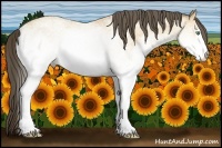 Horse Color:White Spotted Amber Cream Champagne