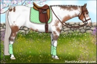 Horse Color:White Spotted Silver Bay Sabino Frame Blanket 