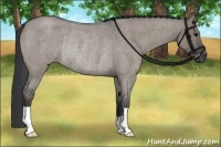 Horse Color:Grullo Roan Rabicano 