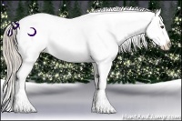 Horse Color:Chocolate Palomino Ice Varnish Rabicano