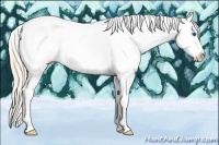 Horse Color:White Spotted Perlino Splash Appaloosa 