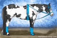 Horse Color:White Spotted Smoky Black Frame