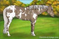 Horse Color:White Spotted Silver Smoky Black