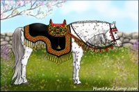 Horse Color:Bay Appaloosa