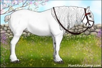 Horse Color:Liver Chestnut Tobiano Appaloosa 