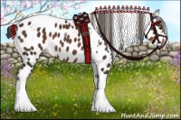 Horse Color:Liver Chestnut Tobiano Appaloosa