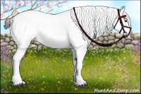 Horse Color:Liver Chestnut Tobiano Appaloosa