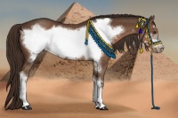 Horse Color:Liver Chestnut Frame 