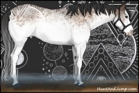 Horse Color:White Spotted Buckskin Splash 