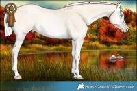 Horse Color:Silver Buckskin Roan Pearl Onyx Splash 