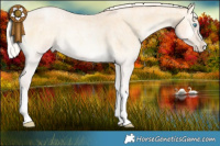 Horse Color:Silver Buckskin Roan Pearl Onyx Splash 