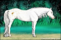 Horse Color:Silver Amber Cream Champagne Dun Appaloosa