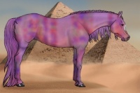 Horse Color:Nacre Watercolor Liver Chestnut 