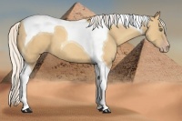 Horse Color:Silver Classic Cream Champagne Tobiano 