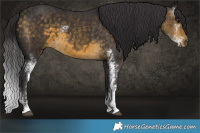 Horse Color:Buckskin Sabino