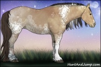 Horse Color:White Spotted Bay Ice