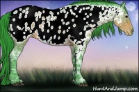 Horse Color:Watercolor Brown Ice Appaloosa