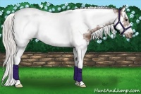 Horse Color:Silver Brown Splash Tobiano Frame