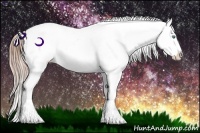 Horse Color:Buckskin Ice Pearl Appaloosa Rabicano 