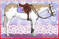 Horse Color:Palomino Splash Frame Rabicano