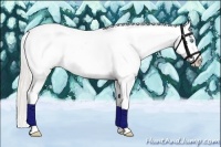 Horse Color:Silver Smoky Blue Roan Pearl Tobiano Frame Appaloosa Rabicano
