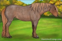 Horse Color:Liver Red Roan 