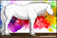 Horse Color:Gray Watercolor Perlino Dun Appaloosa 