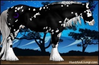 Horse Color:Brown Ice Frame Appaloosa Rabicano