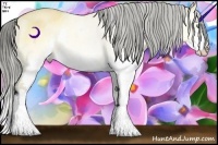 Horse Color:Sable Cream Champagne Dun Splash 