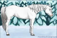 Horse Color:Blue Roan Blanket 