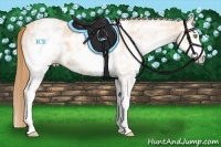 Horse Color:White Spotted Gold Champagne Ice Varnish