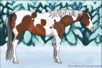 Horse Color:Bay Splash Tobiano 