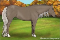 Horse Color:Silver Smoky Black 