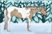 Horse Color:Silver Smoky Grullo Tobiano 