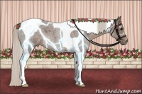 Horse Color:Silver Blue Roan Tobiano 