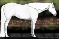 Horse Color:Gray Silver Amber Cream Champagne Pearl Tobiano Frame Near Fewspot
