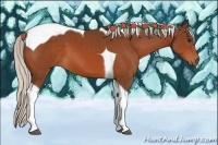 Horse Color:Silver Bay Tobiano