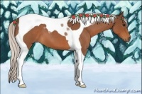 Horse Color:Silver Bay Roan Tobiano 