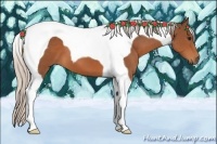 Horse Color:Silver Bay Tobiano 