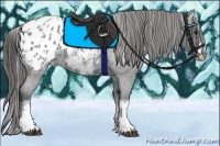 Horse Color:White Spotted Blue Roan Splash Frame Appaloosa