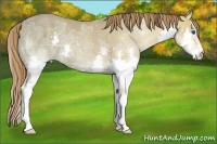 Horse Color:ERROR: UNKNOWN ANOMALY