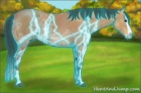 Horse Color:Thunderstruck Bay Ice Splash 
