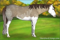 Horse Color:Liver Chestnut Ice Splash 