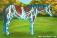 Horse Color:Thunderstruck Bay 