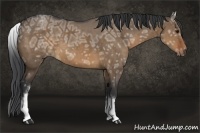 Horse Color:White Spotted Brown Ice Dun Rabicano 