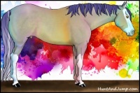 Horse Color:Watercolor Amber Champagne Splash