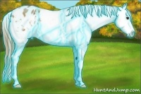 Horse Color:Thunderstruck Chestnut Sabino Varnish 