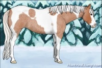 Horse Color:Silver Bay Roan Splash Tobiano 