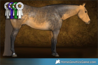 Horse Color:Buckskin